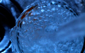 Water